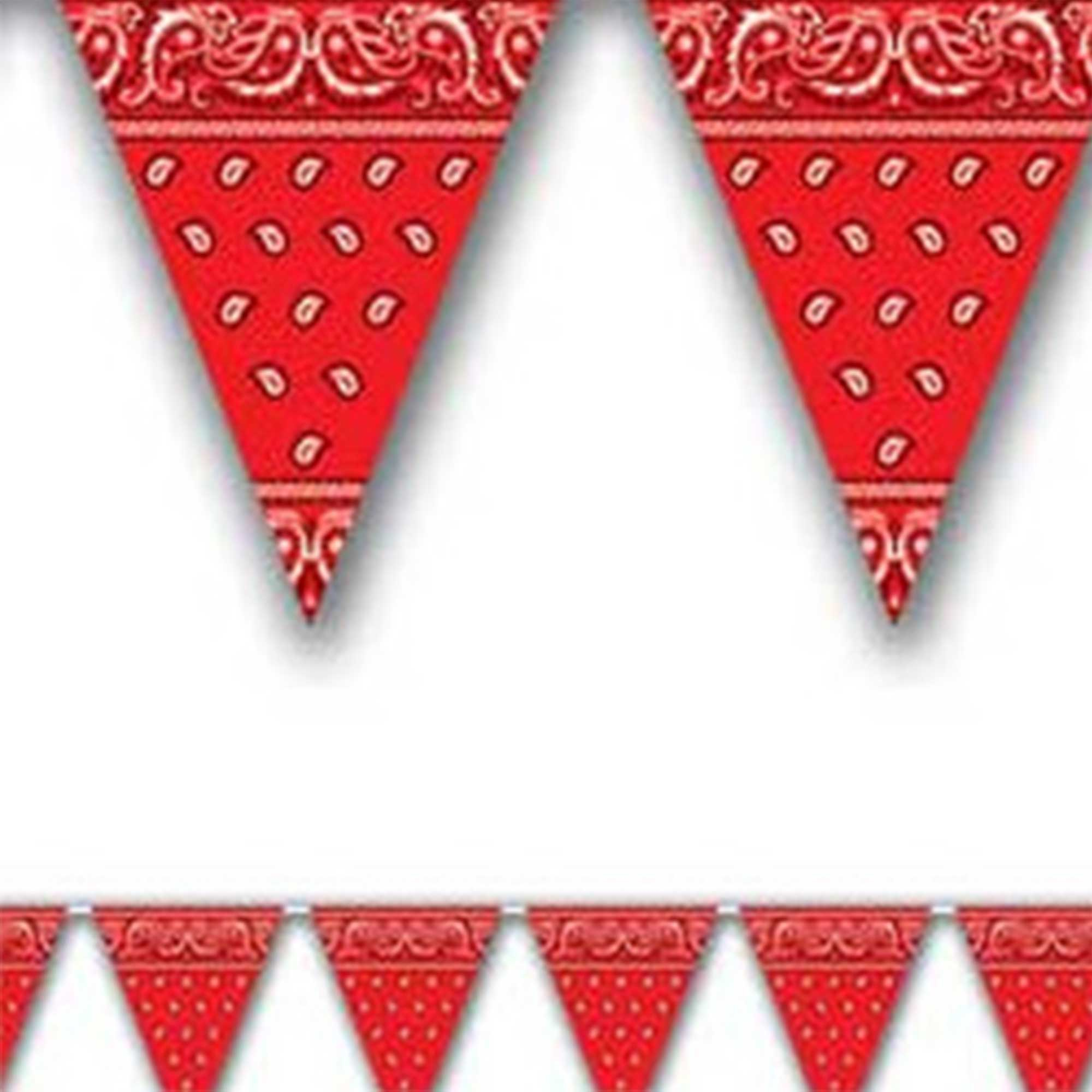 Beistle Pennant Flag Banner Bandana