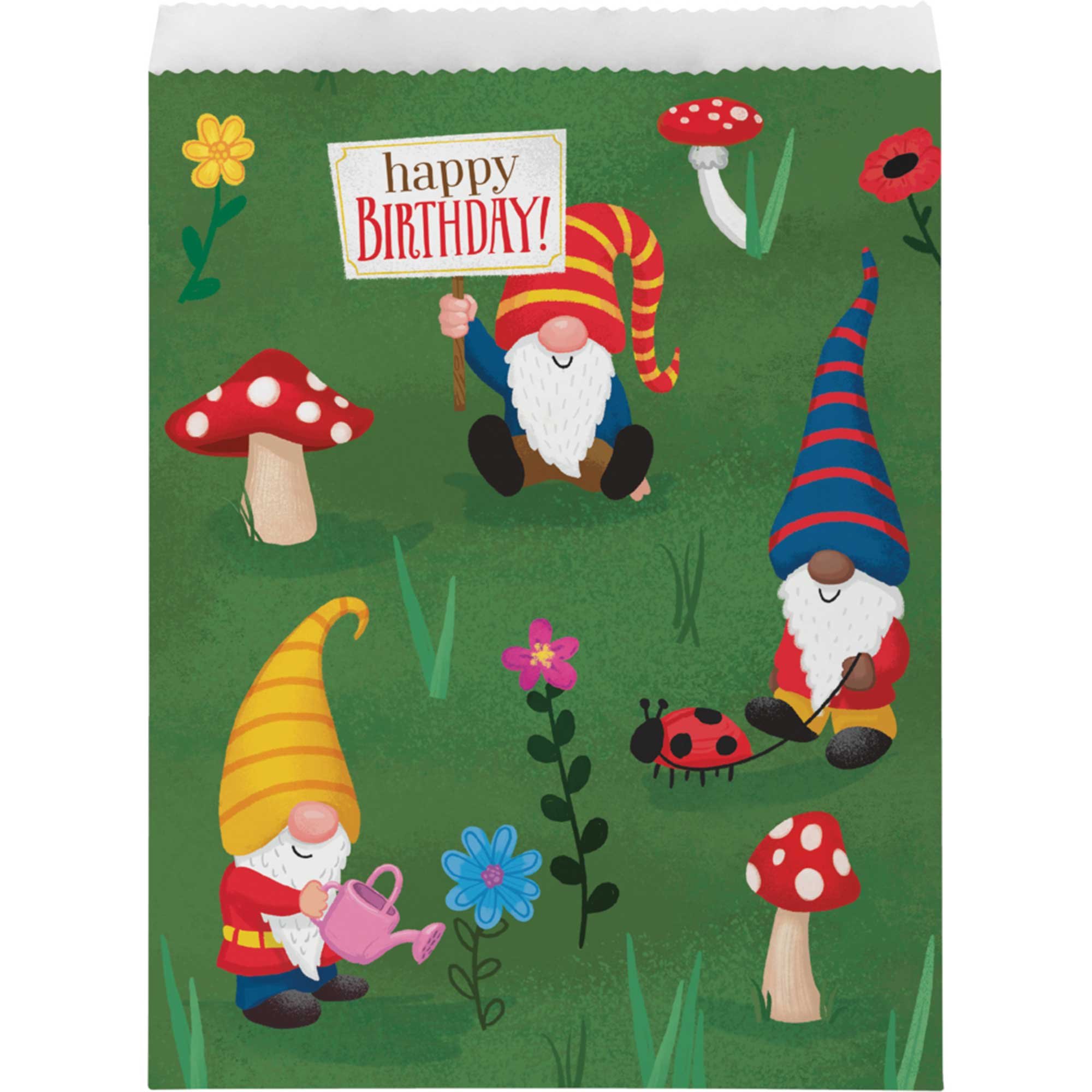 Party Gnomes Paper Treat Bags 22cm x 16cm