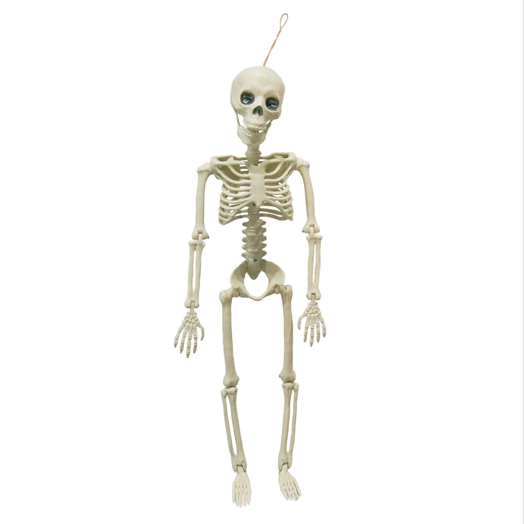 Fright Night Skeleton 90cm