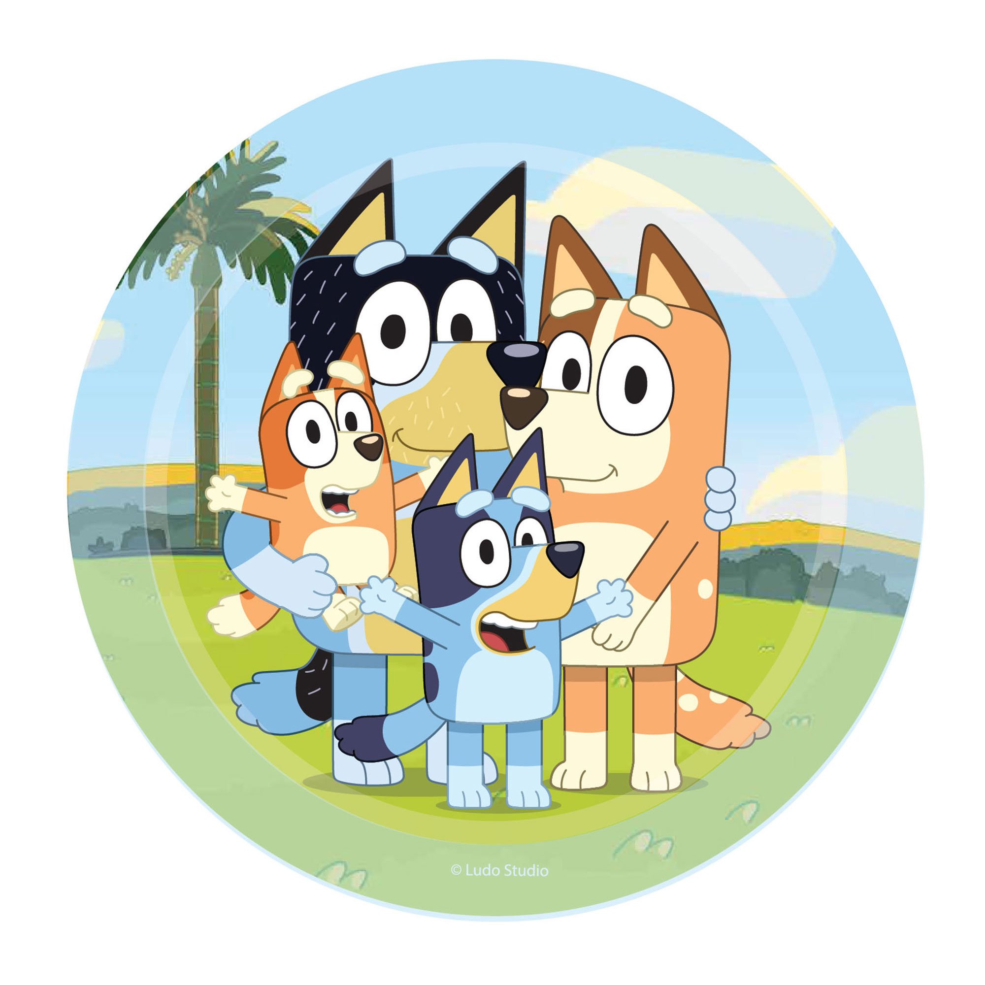 Bluey 17cm Round Paper Plates NPC