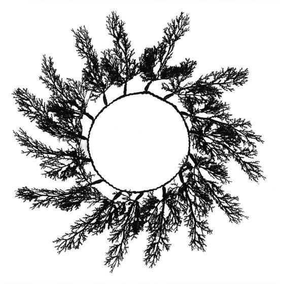 Deadly Soiree Black Foliage Table Placemats