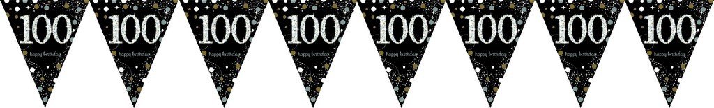 Sparkling Celebration 100 Prismatic Pennant Banner - Plastic