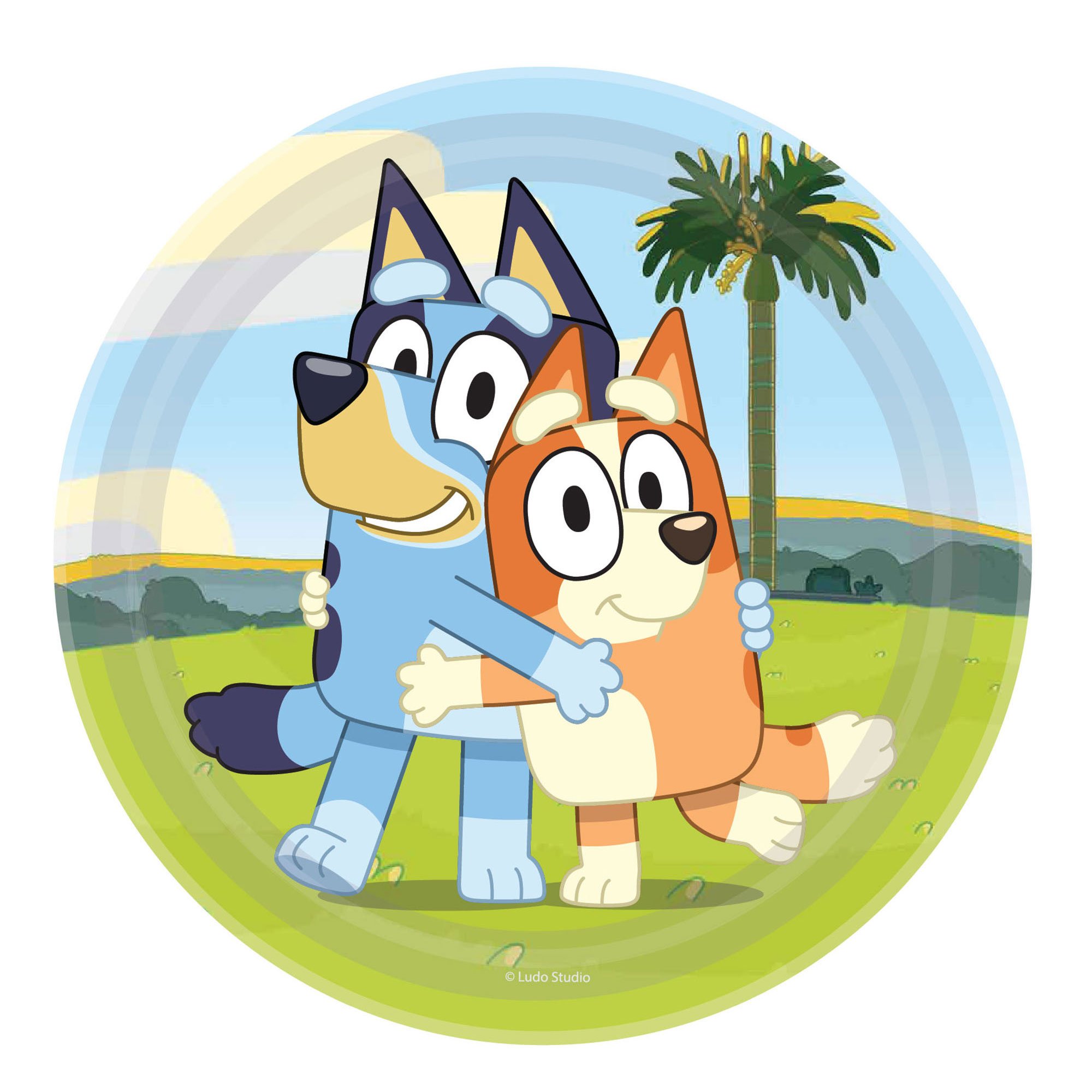 Bluey 23cm Round Paper Plates NPC