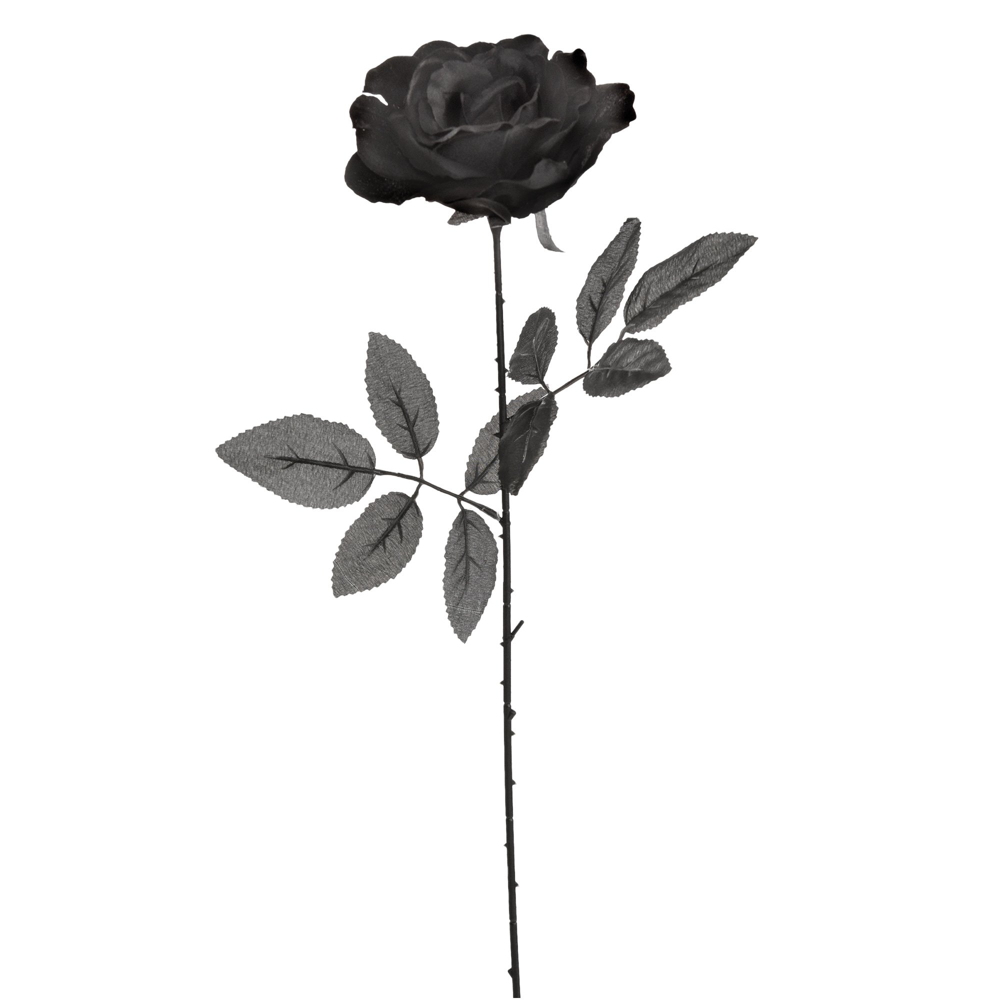 Fright Night Fabric Black Rose