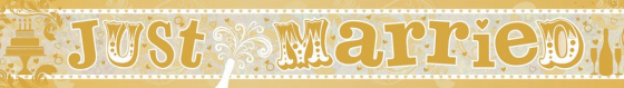 Banner Holographic Just Married