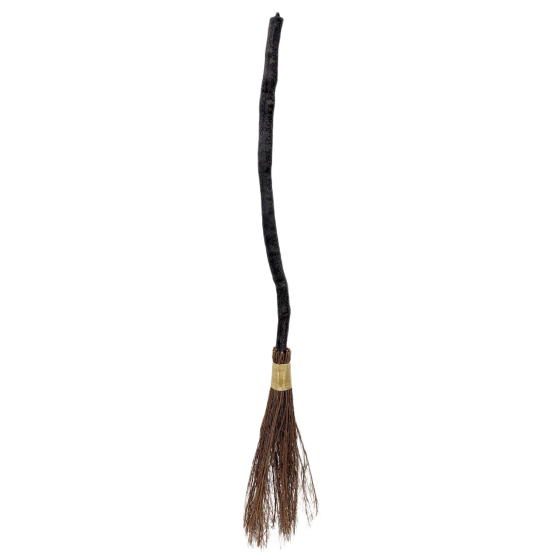 Witches Broom PDQ