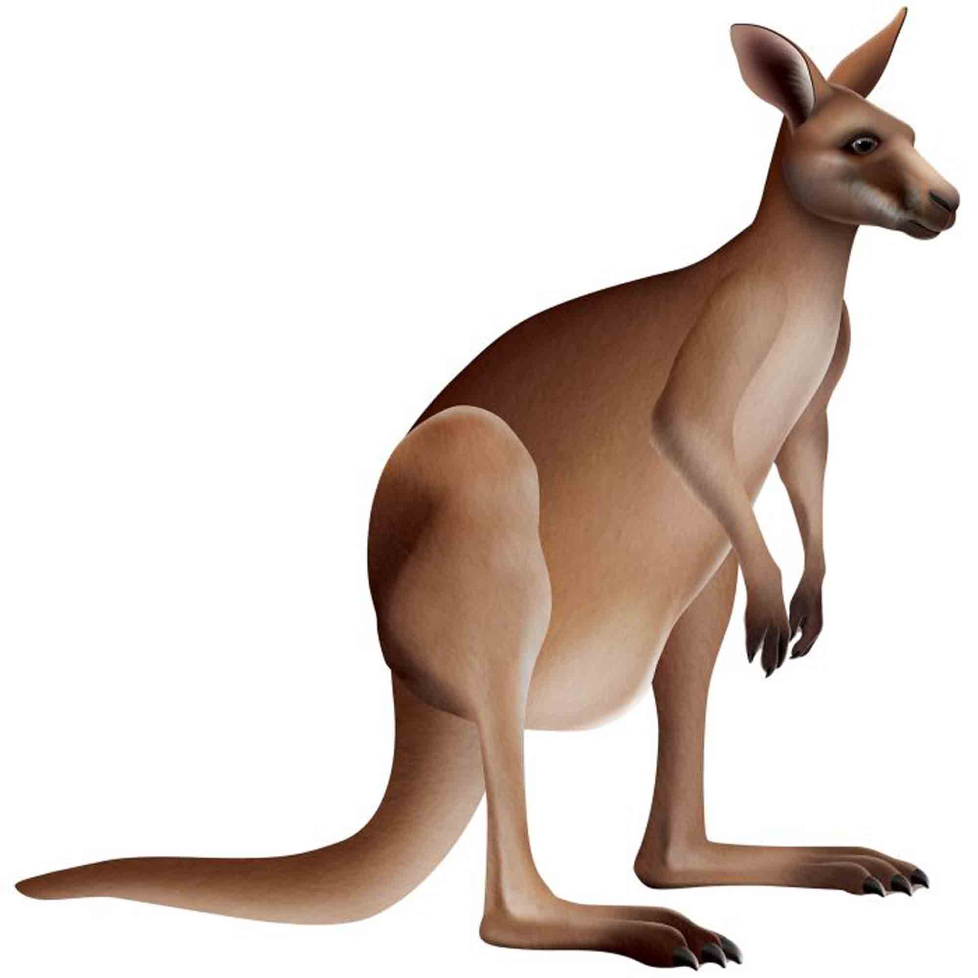 Beistle Jointed Kangaroo