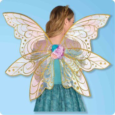 Costumes & Accessories