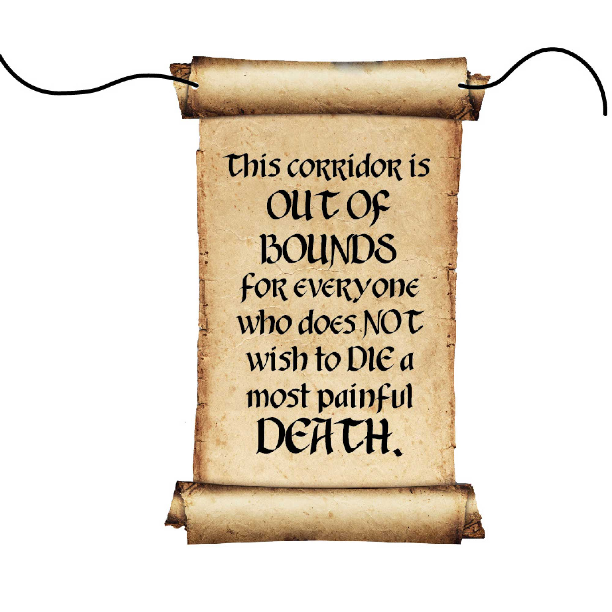 Harry Potter Hanging Door Decoration & Rope SRT