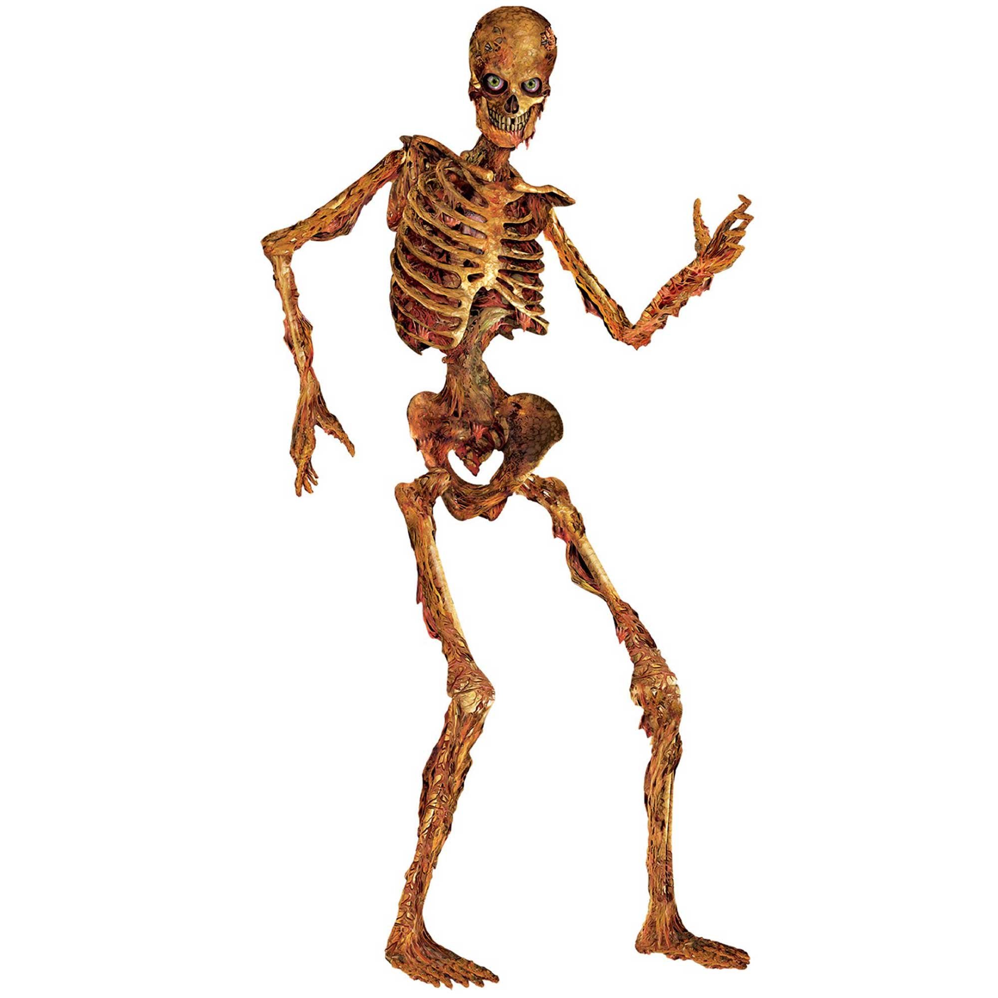 Beistle Jointed Zombie Skeleton 180cm