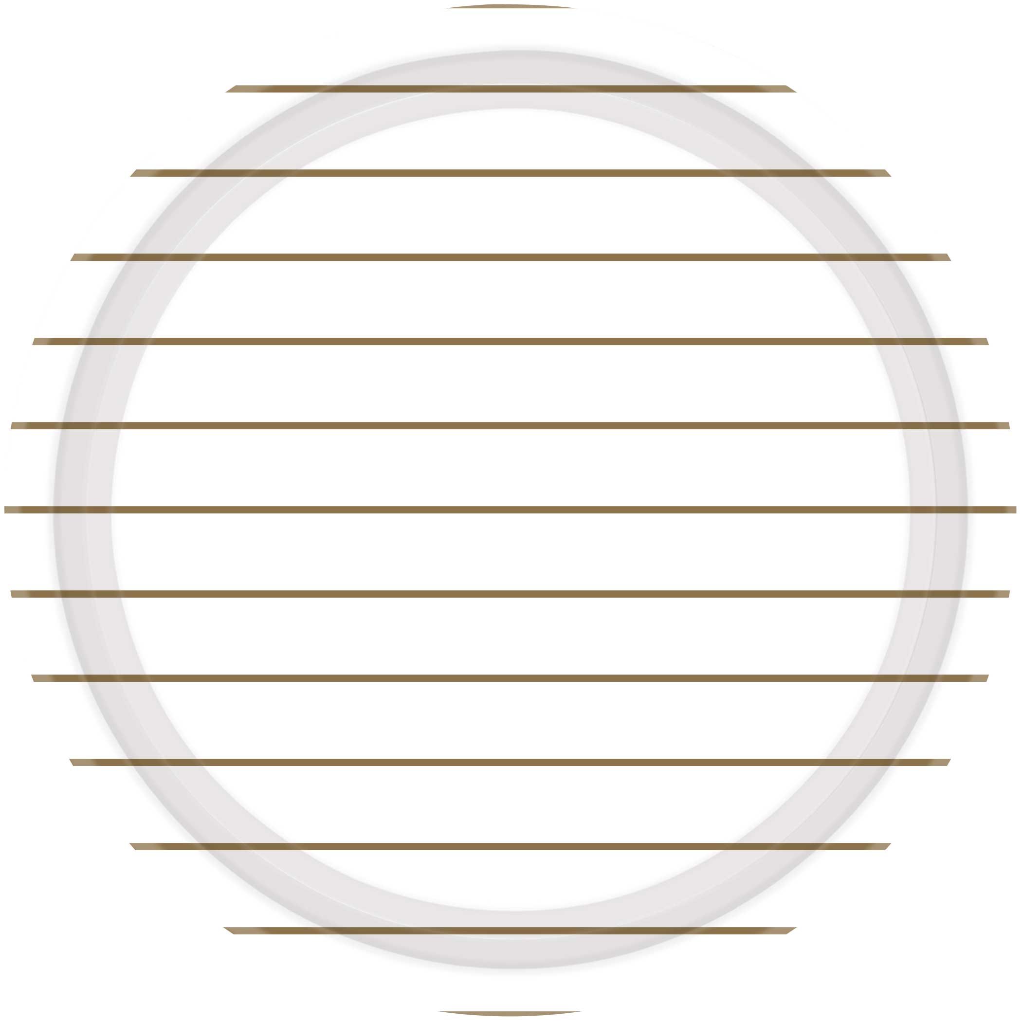 Stripes Paper Plates 23cm Round 8CT -  Gold NPC